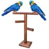 Cosy tossy Bird Perch Training Gym Cum Exercise Stand with 3 Stairs Natural Wood Playful Perch Bird Stand Bird Toy