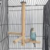 Cosy tossy Small Birds Parrot Perch Toys Natural Wood Jumping Standing Toy