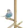 Cosy tossy Small Birds Parrot Perch Toys Natural Wood Jumping Standing Toy