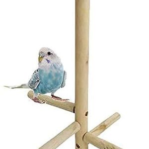 Cosy tossy Small Birds Parrot Perch Toys Natural Wood Jumping Standing Toy