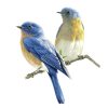 Parrot Perch Toys Natural Wood Jumping Standing Toy